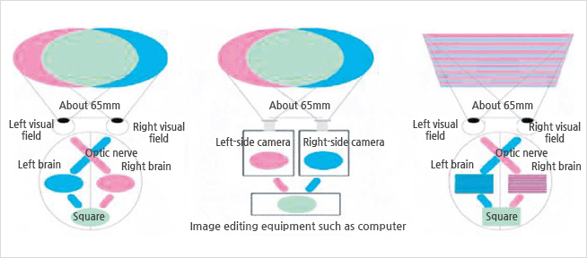 Realization on three dimensional display